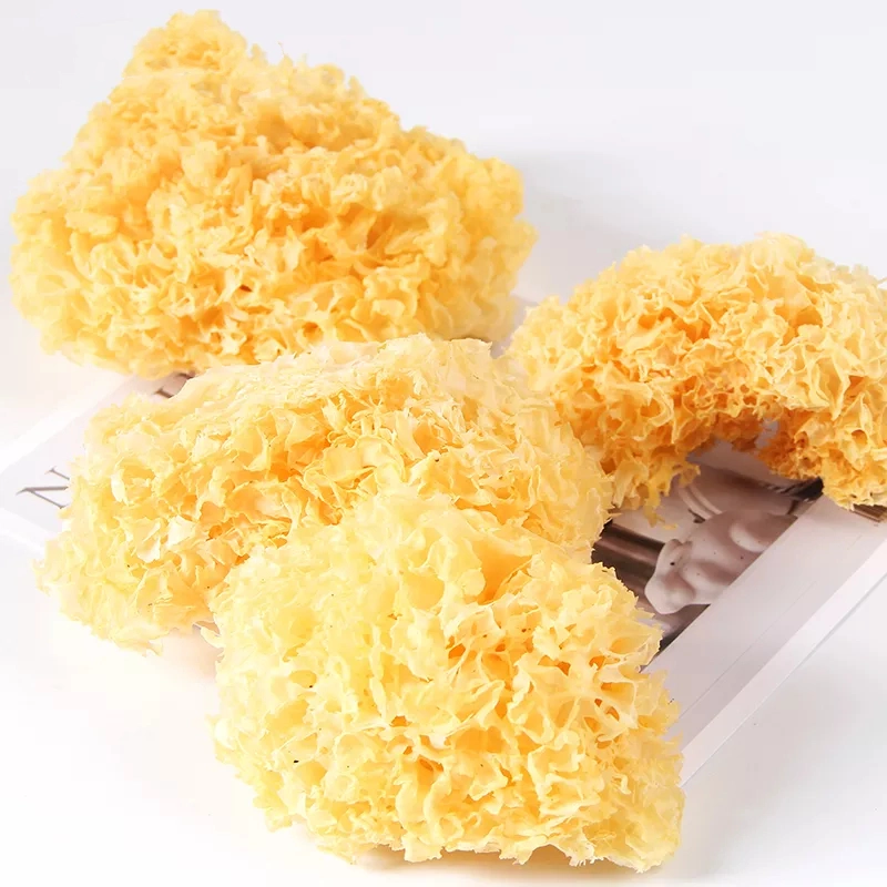 High Quality Fresh Organic White Snow Fungus Tremella Mushrooms for Mushroom Dishes