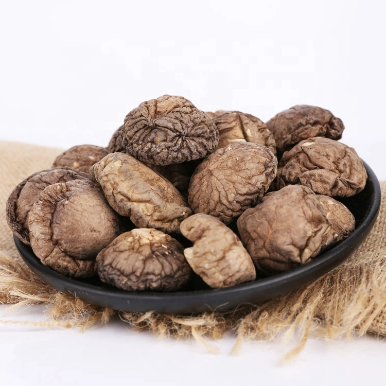 High Quality Organic Dried Food Shiitake Mushroom Wholesale