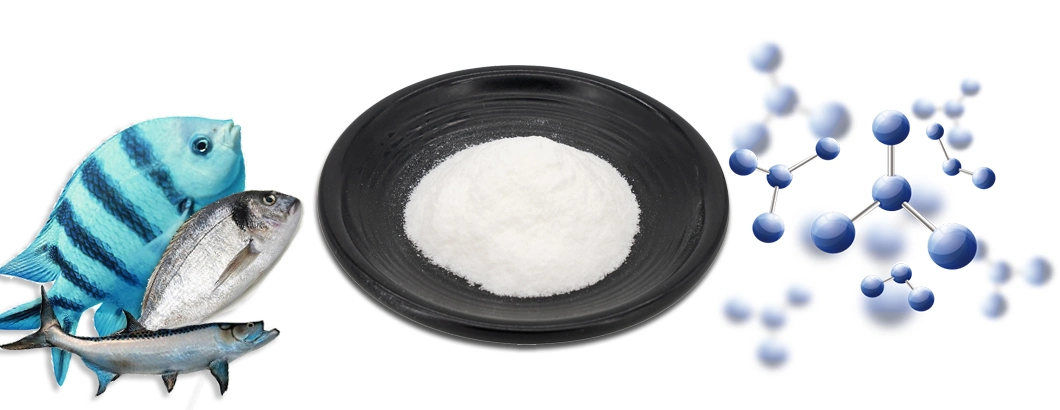 ISO Factory Supplies Halal Raw Material Marine Fish Oligopeptides