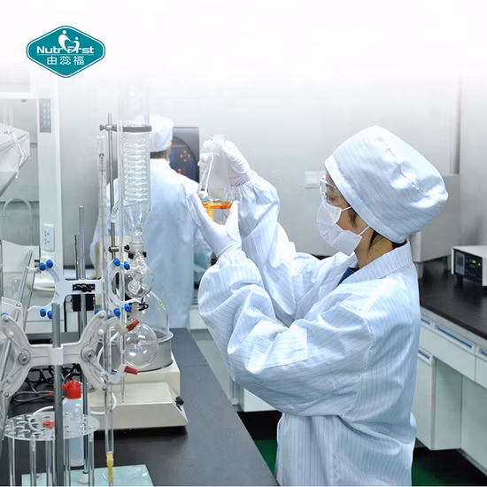 Extrait de plantes de champignons à crinière de lion bio Hericium Erinaceus Reishi Cordyceps Militaris Poudre de champignons à base de plantes